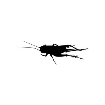 Cricket Silhouette Isolated Stock Illustration