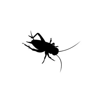 Cricket Silhouette Isolated Stock Illustration