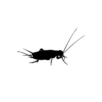 Cricket Silhouette Isolated Stock Illustration