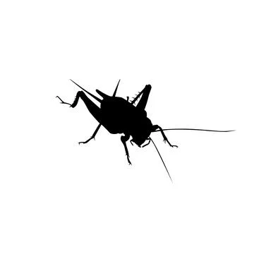 Cricket Silhouette Isolated Stock Illustration