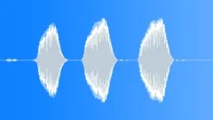 CRICKETSound Effect