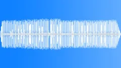 CRICKETSound Effect