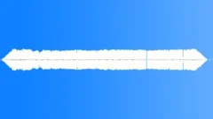 CRICKET Sound Effect