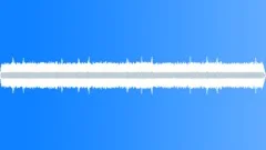 CRICKETSound Effect
