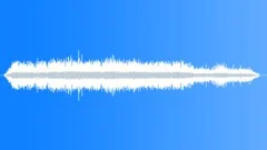 Cricket Sp Chorus InSound Effect