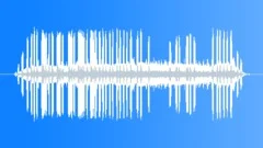 Cricket Sp MCU Stridulation Sound Effect