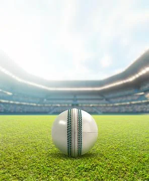 Cricket Stadium Day Stock Illustration