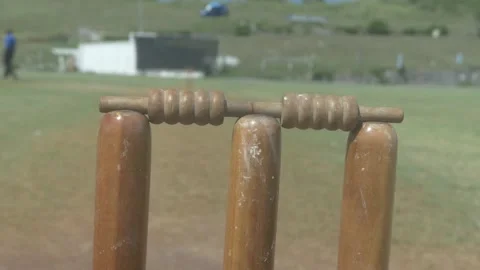 Cricket Stumps - Ungraded Stock Footage 217381002