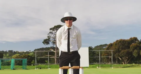 Cricket umpire making signs standing on a cricket pitch 库存影片 162829157