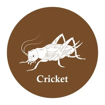 Cricket vector icon Stock Illustration