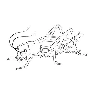 Cricket vector icon Illustrazione stock