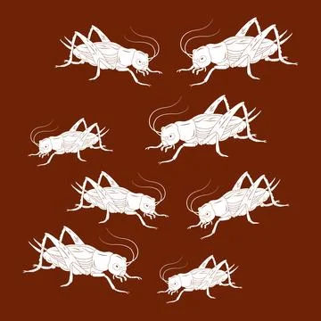 Cricket vector icon Stock Illustration