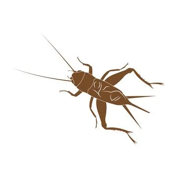 Cricket vector icon Stock Illustration