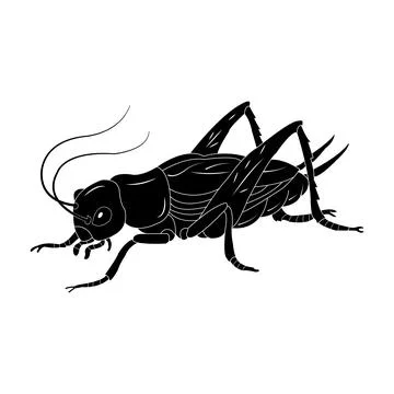 Cricket vector icon Stock Illustration