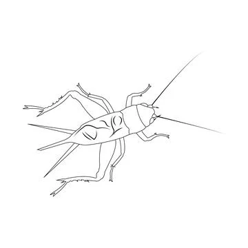 Cricket vector icon Stock Illustration
