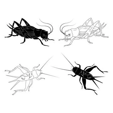 Cricket vector icon Stock Illustration