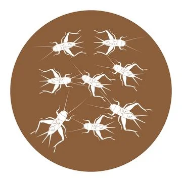 Cricket vector icon Stock Illustration