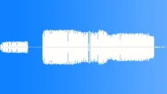 Cricket very close Sound Effect