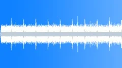 Cricket With Wind Roar Night AtmosphereSound Effect