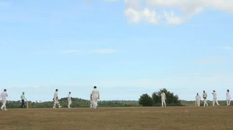Cricketers change sides Video stock 861786