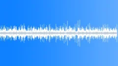 Crickets And Frogs 1 Sound Effect