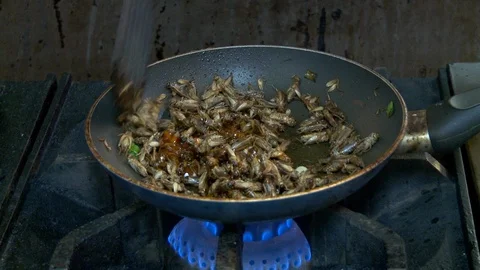 Crickets being cooked in a pan Stock Footage 99049451