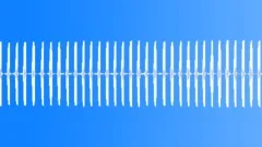 Crickets calling during a quiet African nightSound Effect