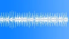 Crickets calling during a quiet African nightSound Effect