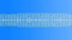 Crickets calling during a quiet African nightSound Effect