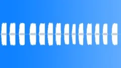 Crickets calling during a quiet African nightSound Effect