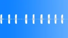 Crickets calling during a quiet African night Sound Effect