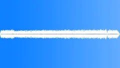 Crickets chirp near a village (Ambience, Insect, Several, Stridulation) Sound Effect