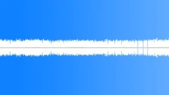Crickets chirping (loopable) Sound Effect