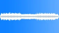 Crickets Chirping Night Alpine Forest 03Sound Effect