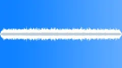 Crickets Chirping Night Alpine Forest 01Sound Effect