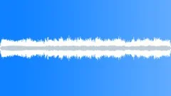 Crickets Chirping Night Alpine Forest 02Sound Effect