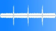Crickets Chirping Night Alpine Forest 04Sound Effect