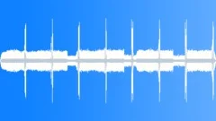 Crickets Chirping Night Alpine Forest 05Sound Effect