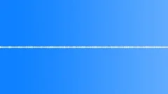 Crickets, cicadas in the park - ambient, background loop 01 Sound Effect