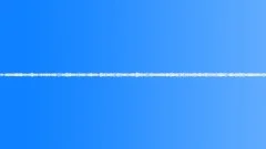 Crickets Day Farm ChirpySound Effect