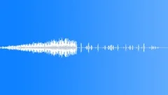 Crickets Daylight 1 Sound Effect