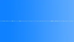 Crickets in the evening forest - Ambient, Background 01 loop Sound Effect