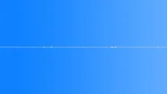Crickets in the evening forest - Ambient, Background 02 loop Sound Effect