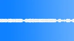 Crickets on field loopSound Effect