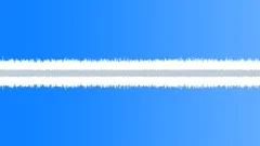 Crickets Night Ambience loopSound Effect
