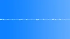 Crickets, night, park - ambient, background loop Sound Effect