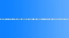Crickets - NightSound Effect