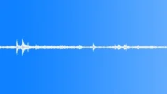 Crickets rain thunder Sound Effect