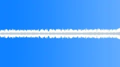 Crickets singing in the night city 1 Sound Effect