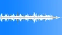 Crickets Sound Effect